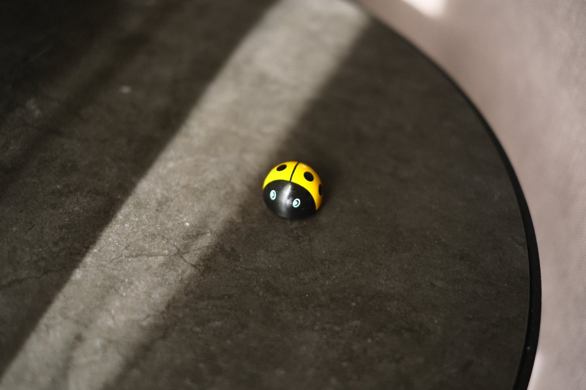 A yellow and black ladybug on a dark surface with a curved edge, illuminated by a beam of light