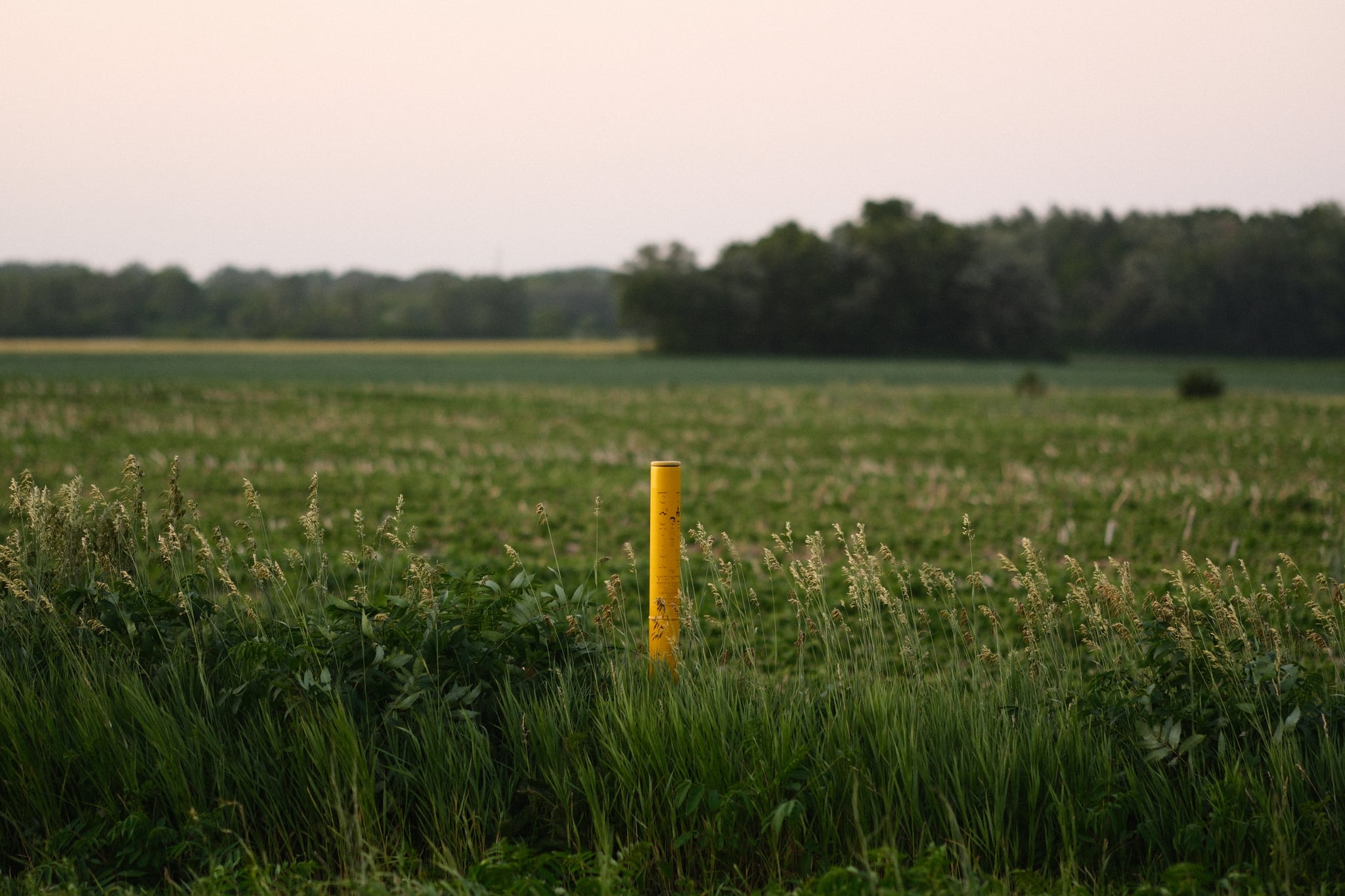 A grassy field with a yellow post in the center, bordered by trees in the background under a pale sky
