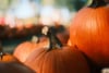 Orange pumpkins with curved stems in an outdoor autumn display, with a softly blurred background
