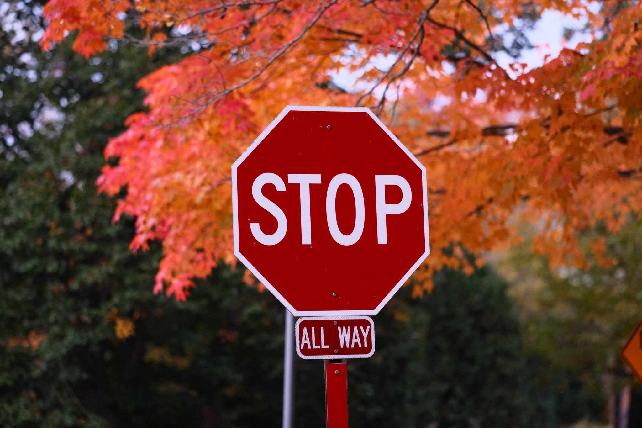 A red stop sign with an 'ALL WAY' sign beneath it, set against a background of vibrant autumn foliage with orange and red leaves