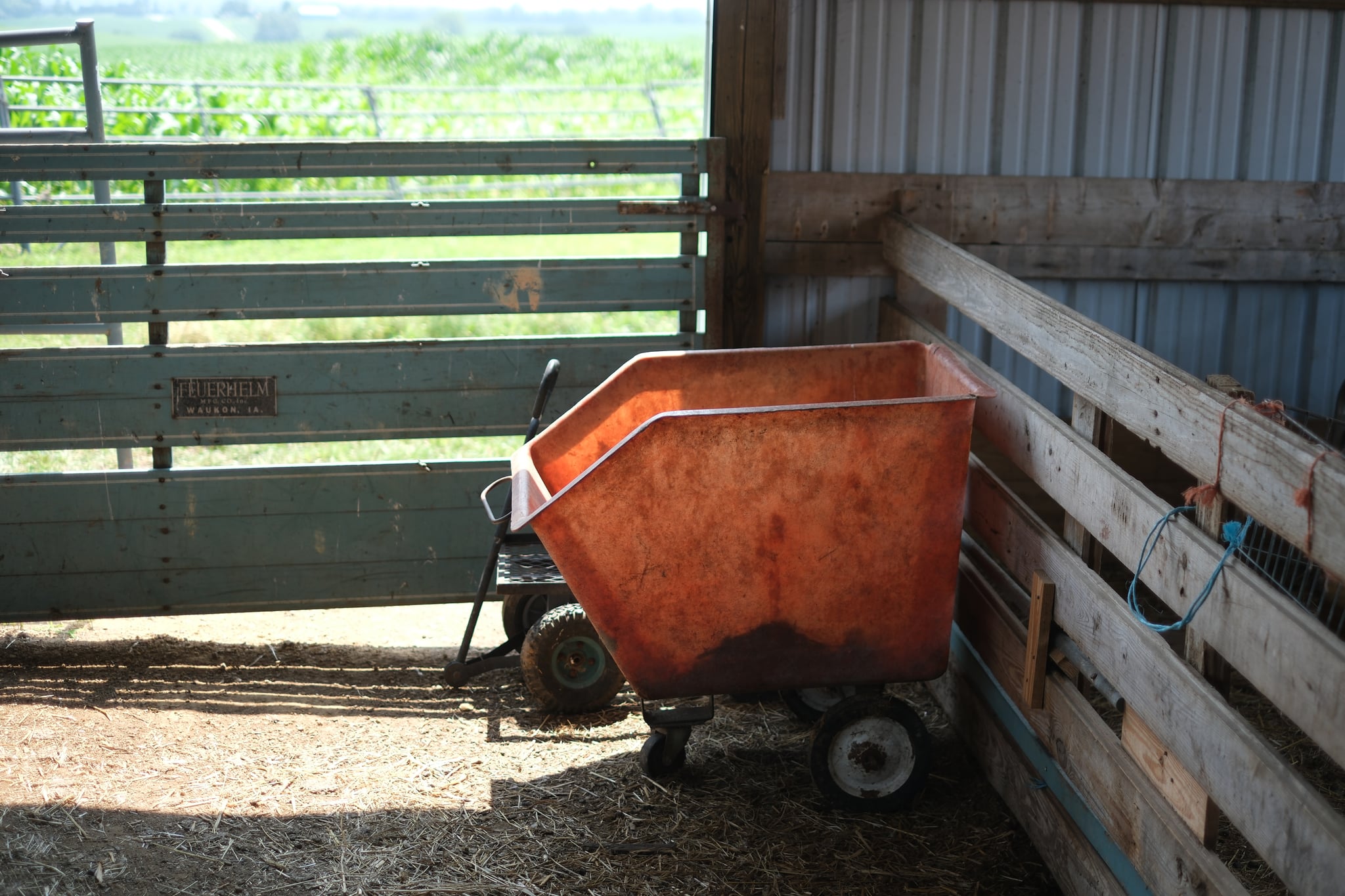 A red wheelbarrow is placed inside a barn, next to a wooden fence, with sunlight streaming in from an open gate