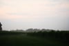 Wide grassy field bordered by dark trees under a soft pastel sky at dawn or dusk