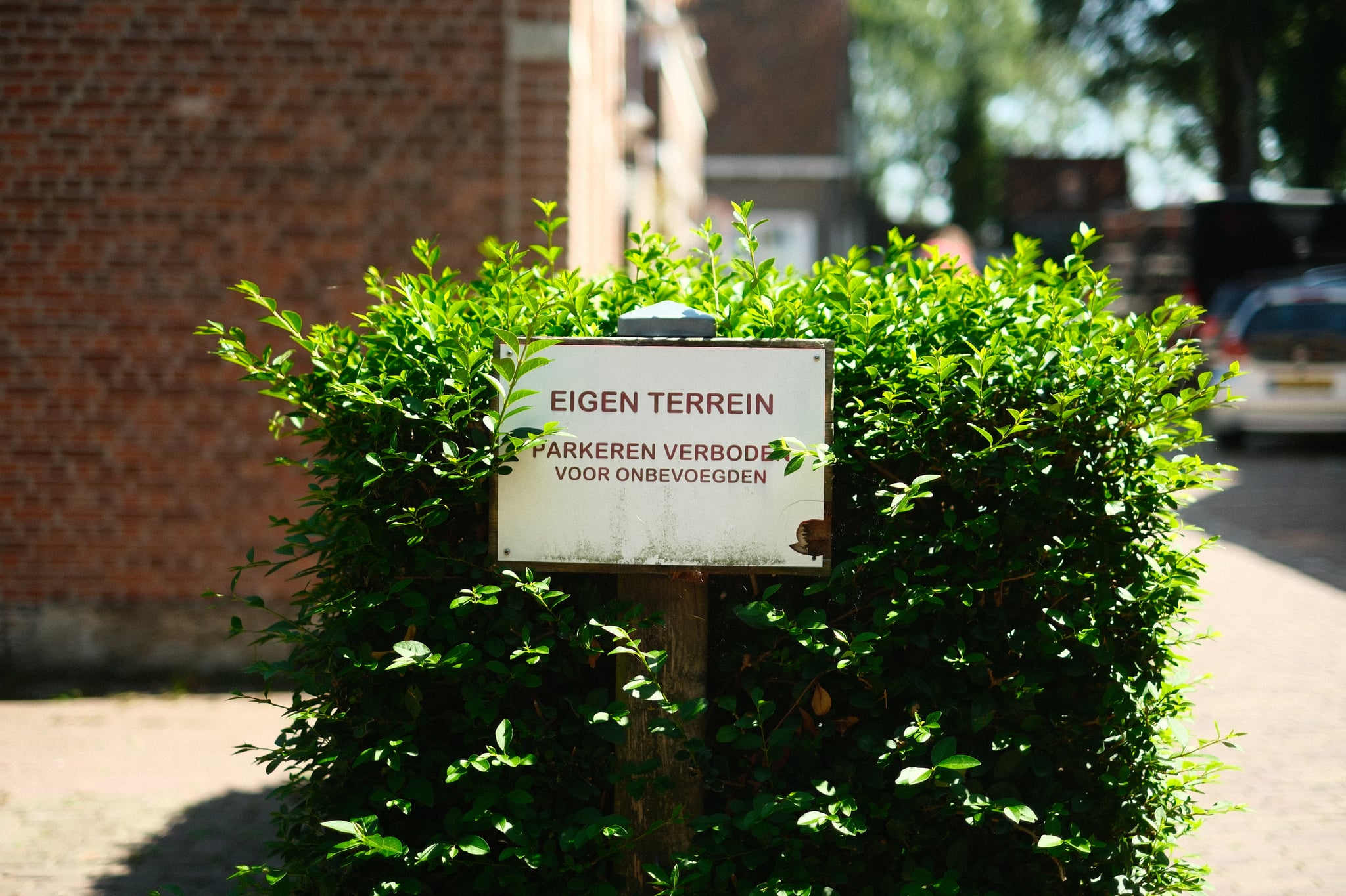 A sign with Dutch text is mounted on a green hedge, with a brick building and a street in the background