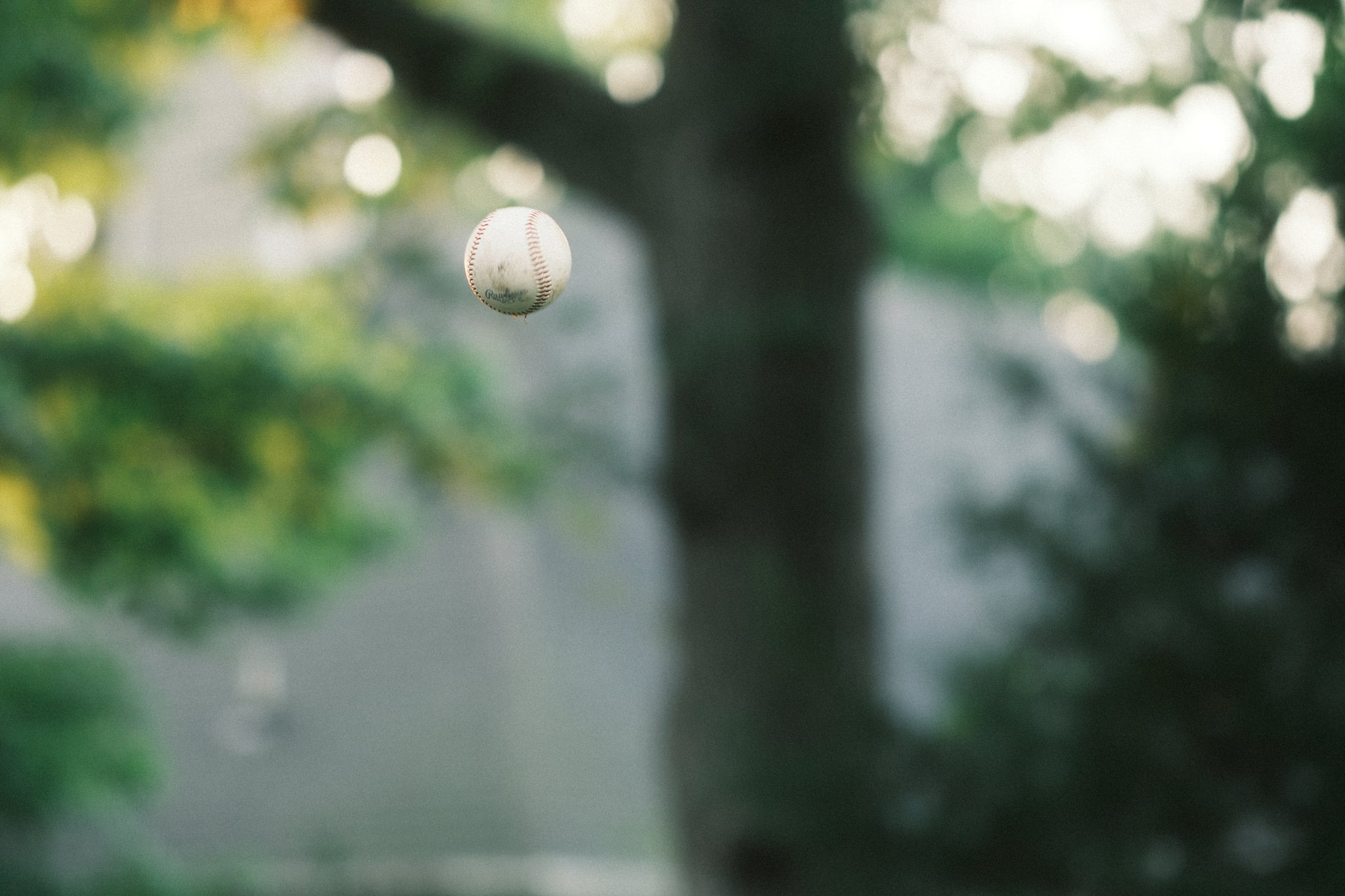 Soft-focus outdoor scene with a large tree trunk centered, green foliage in the background, and a small hanging light bulb near the upper left