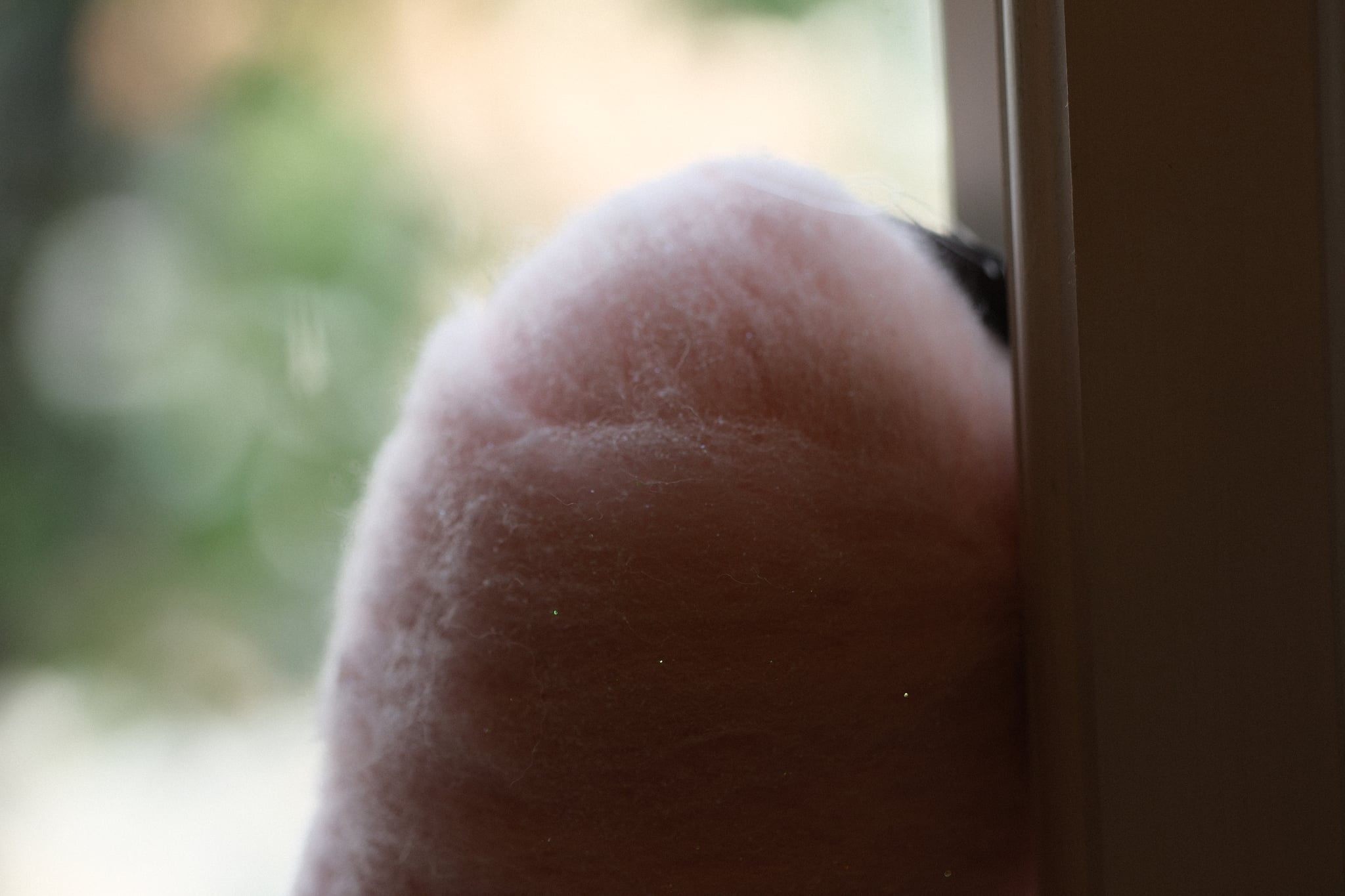 A fluffy pink object pressed against a window with a blurred green background