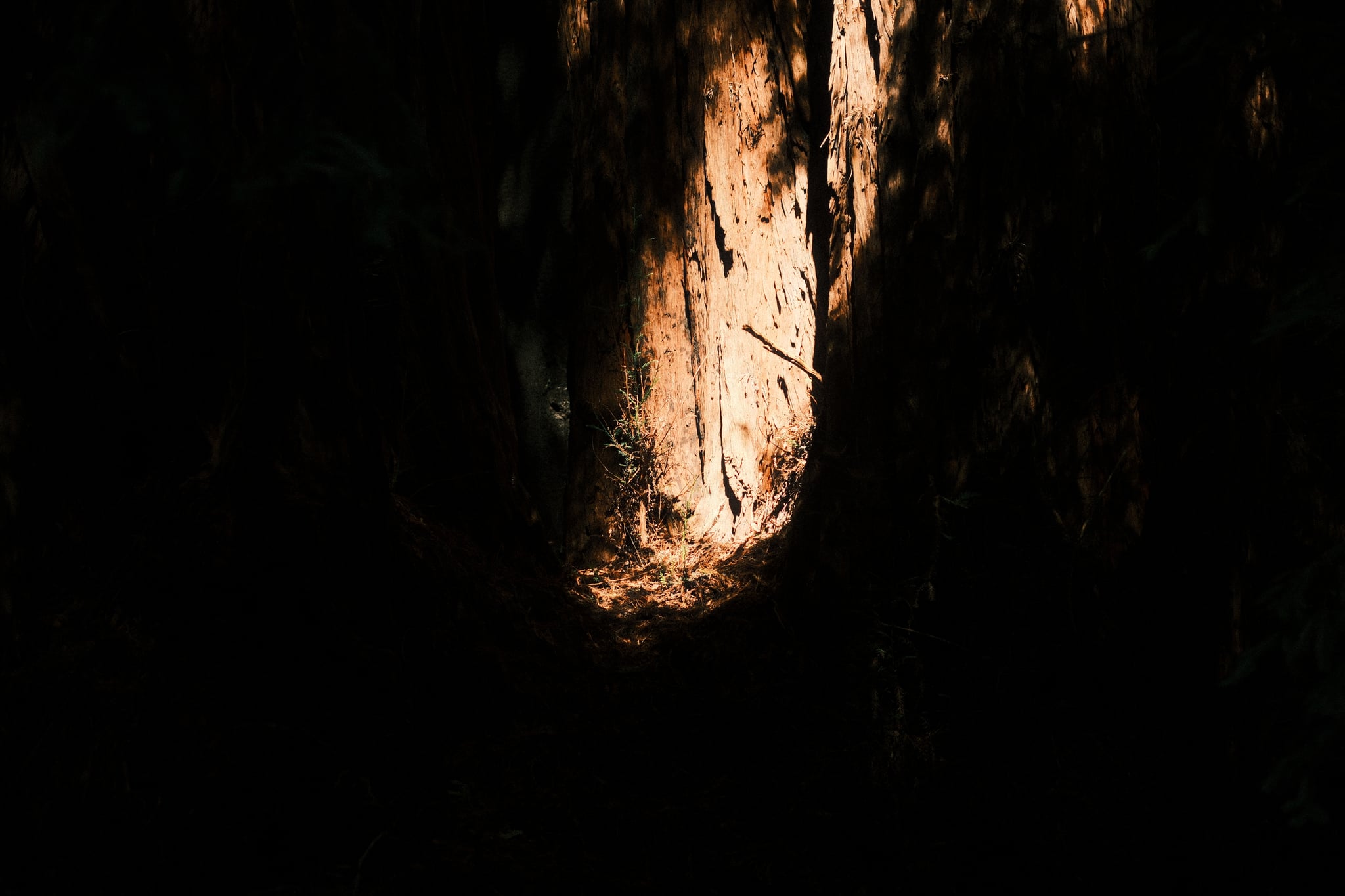 Warm sunlight illuminates rugged rock walls within a dark, narrow cavern