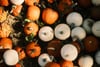 Overhead view of orange, white, and dark green pumpkins and gourds scattered across straw and foliage in autumn sunlight