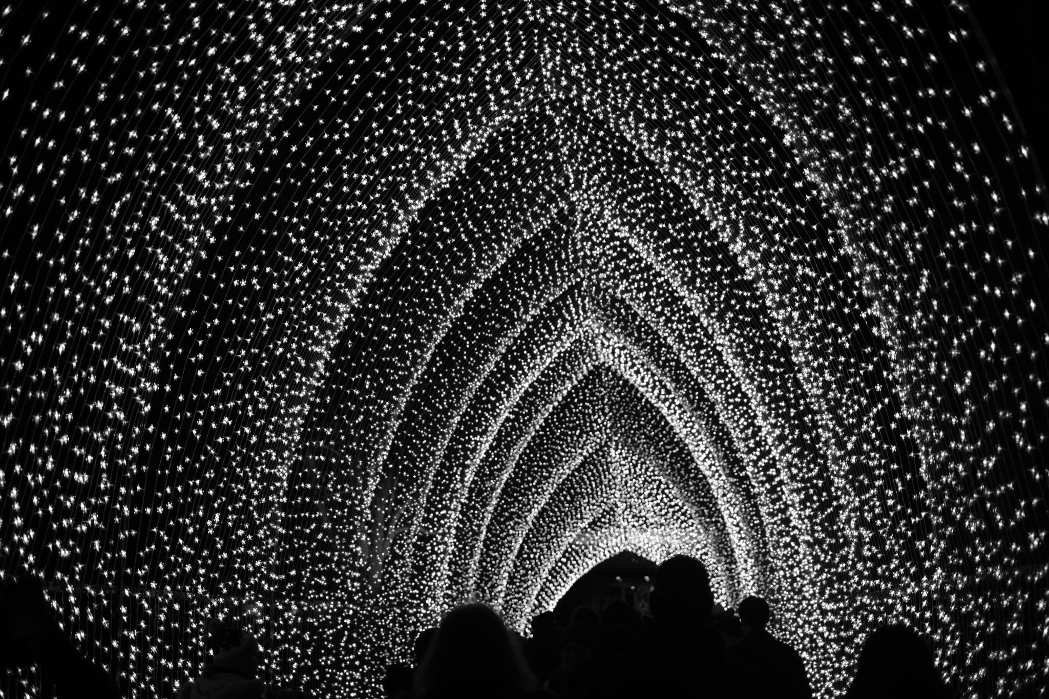 A tunnel illuminated by countless small lights, creating an arching, cathedral-like effect with silhouetted figures walking through