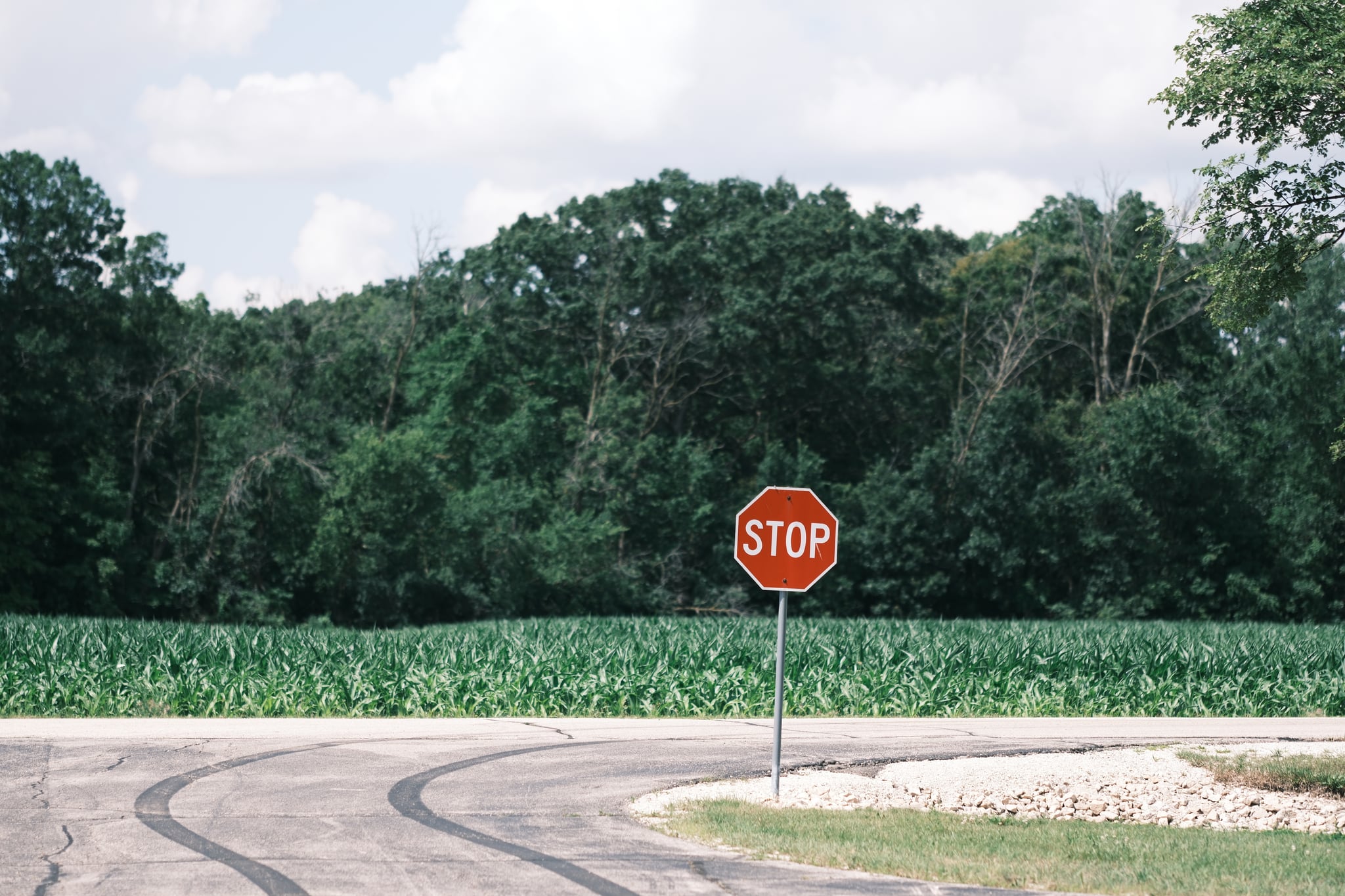 A stop sign stands at the edge of a road with tire marks, surrounded by lush green vegetation and trees under a partly cloudy sky