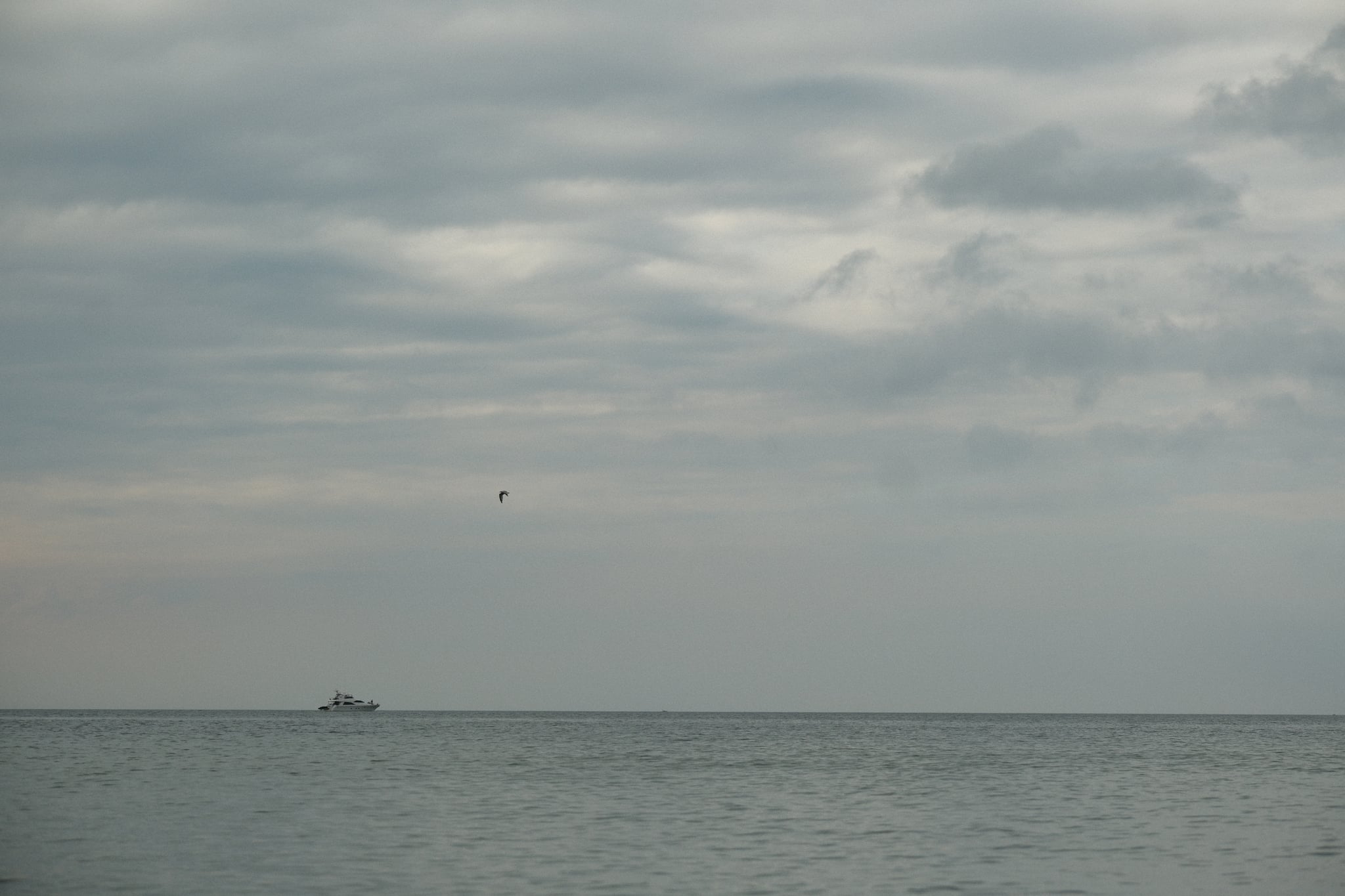Calm sea under an overcast sky with a distant ship on the horizon