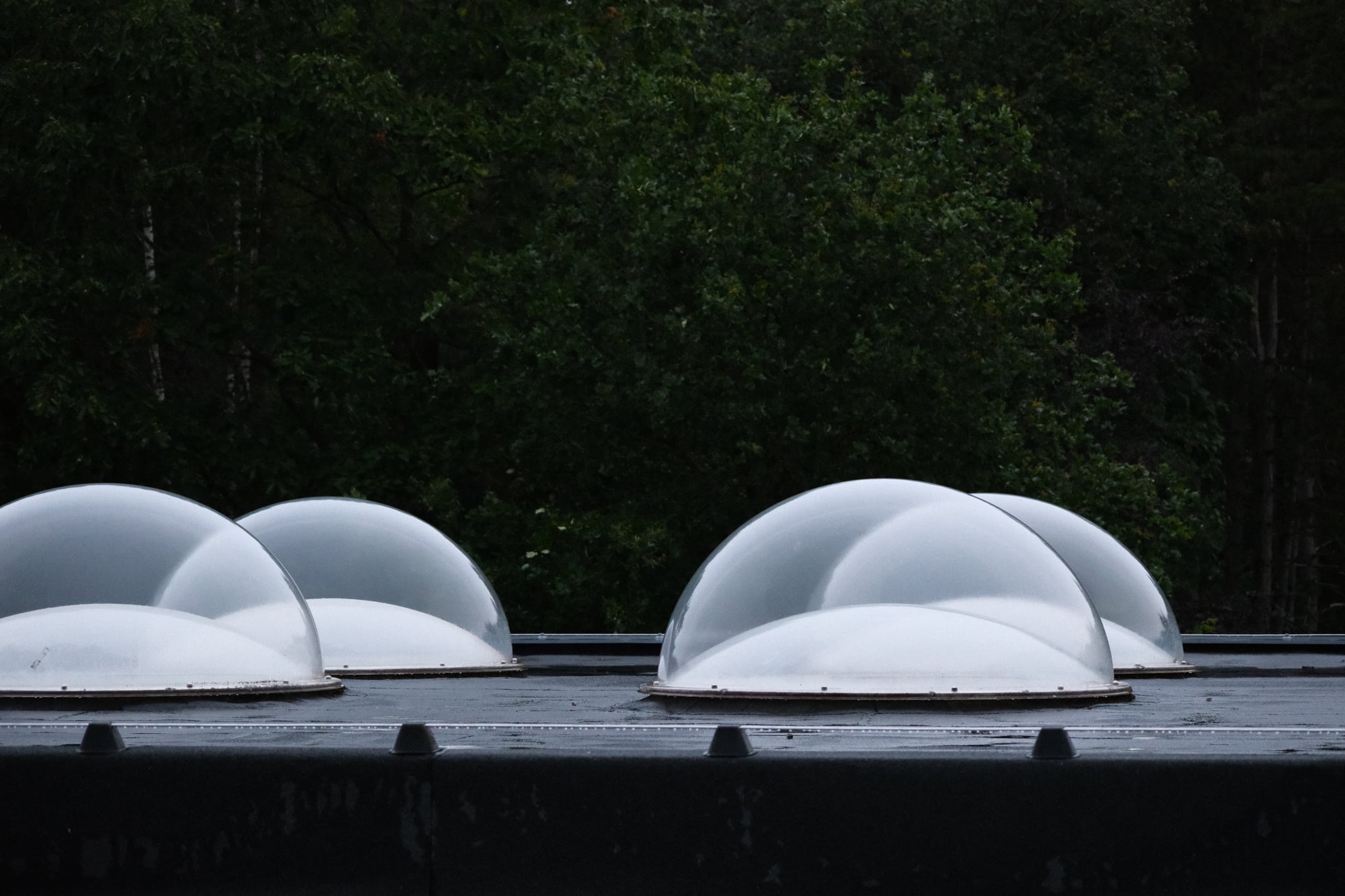 Row of translucent dome skylights on a flat rooftop against a dark treeline backdrop