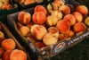 Crates of ripe peaches stacked at an outdoor market