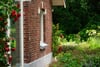 Red brick house corner with white-trimmed windows beside lush green garden and red roses