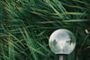 Glass globe lamp nestled among lush green foliage and long blades of grass