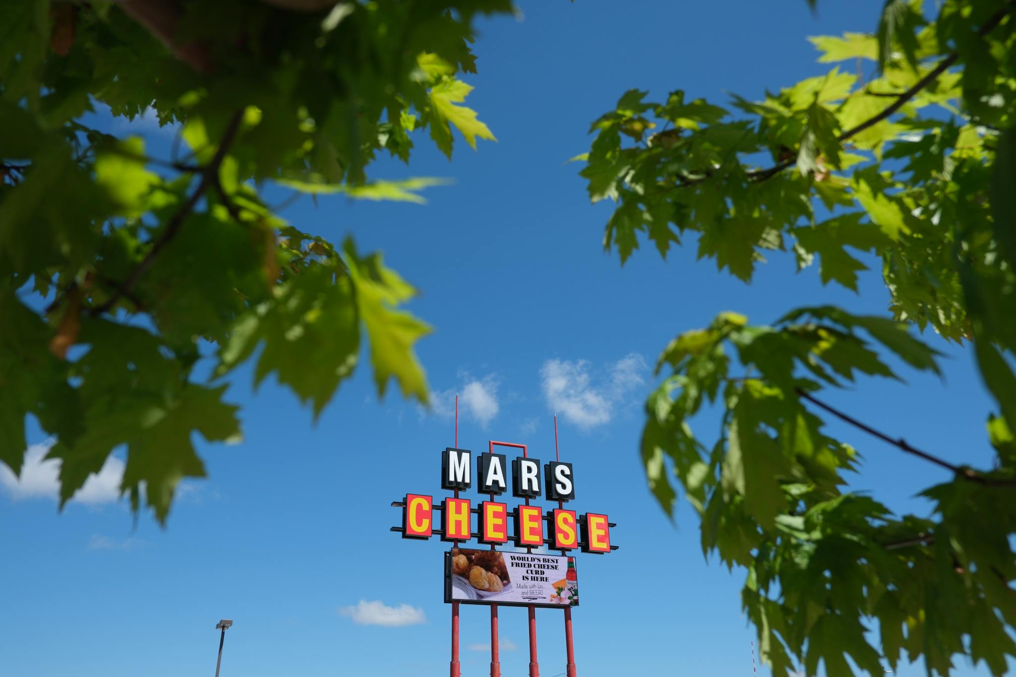 A vibrant blue sky is the backdrop for a tall sign that reads Mars Cheese, framed by green tree leaves in the foreground