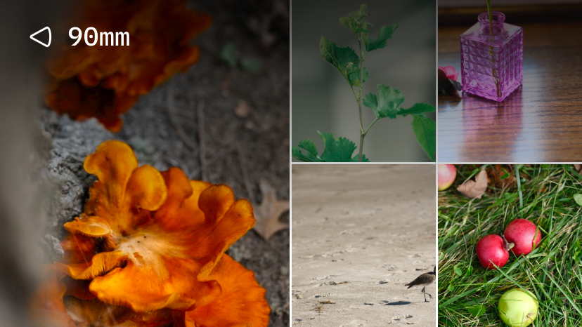Focal Length 90mm (144 Photos)